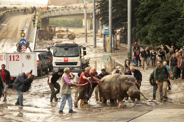 Tiflis'te Sel Felaketi