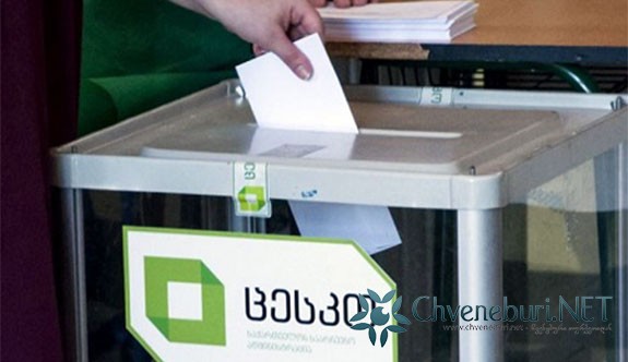 Gürcistan'daki Seçime Çifte Vatandaşların Oy Kullanmaları