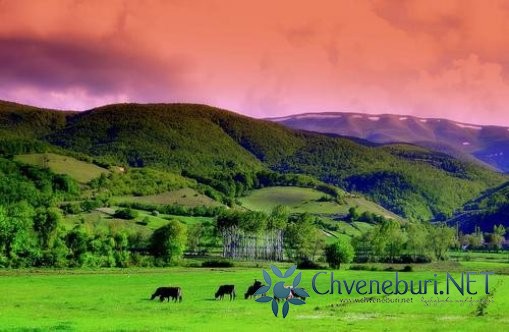 Hacıalipınar Mahallesi (Kiremithane) - Ladik-Samsun