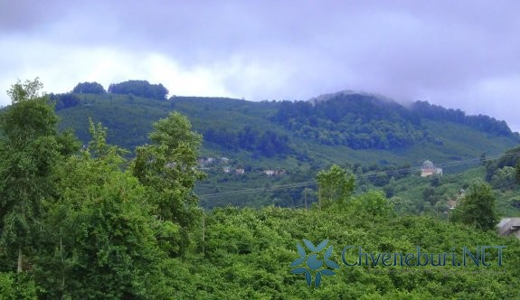 Kestanepınar Köyü-Çarşamba-Samsun