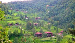Türkiye"deki Gürcü Köyleri