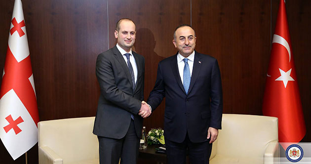 Gürcistan Dışişleri Bakanı, Dışişleri Bakanı Mevlüt Çavuşoğlu Görüştü