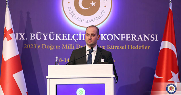 Gürcistan Dışişleri Bakanı, Dışişleri Bakanı Mevlüt Çavuşoğlu Görüştü