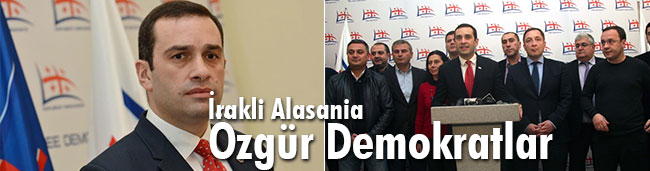 İrakli Alasania, Özgür Demokratlar