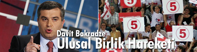 Davit Bakradze, Ulusal Birlik Hareket Partisi