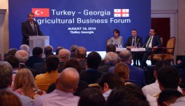 საქართველო  თურქეთში სოფლის მეურნეობის პროდუქციის ექსპორტს გაზრდის